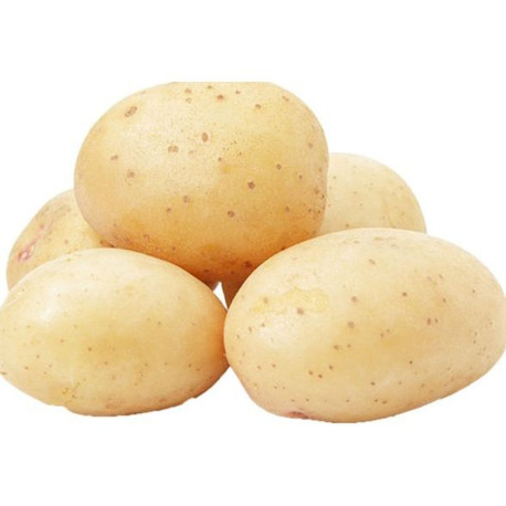 PDT ACTRICE GROSBUSCH COLIS BOIS 10KG